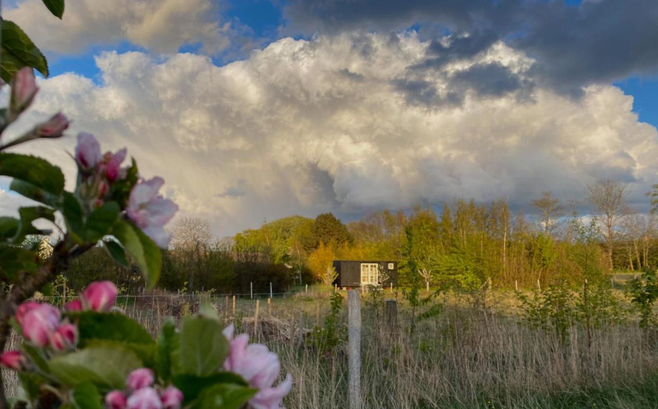 Aeblehaven Bed & Breakfast Toftebjerg Exterior foto